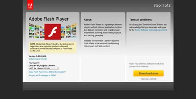 Adobe Flash Player на русском языке Adobe Flash Player на русском языке
