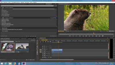 Adobe Premiere Pro на русском языке Adobe Premiere Pro на русском языке