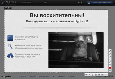 Lightshot на русском языке Lightshot на русском языке