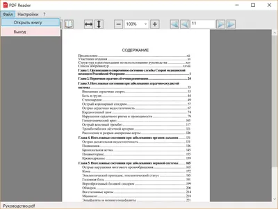PDF Reader на русском языке PDF Reader на русском языке
